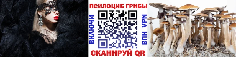 Купить  Дмитровск  Псилоцибиновые грибы Magic Shrooms 